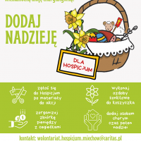 plakat żonkile