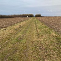 img_0809