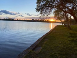 img_1041