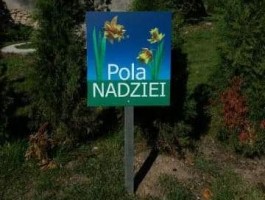 pola nadzie